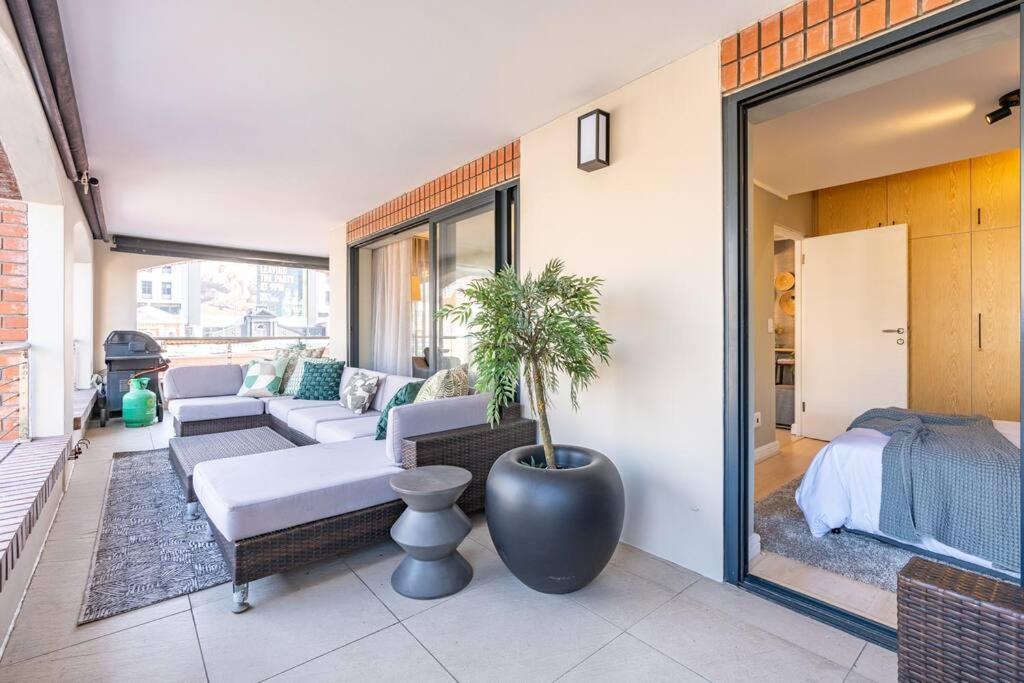 Modern Oasis In